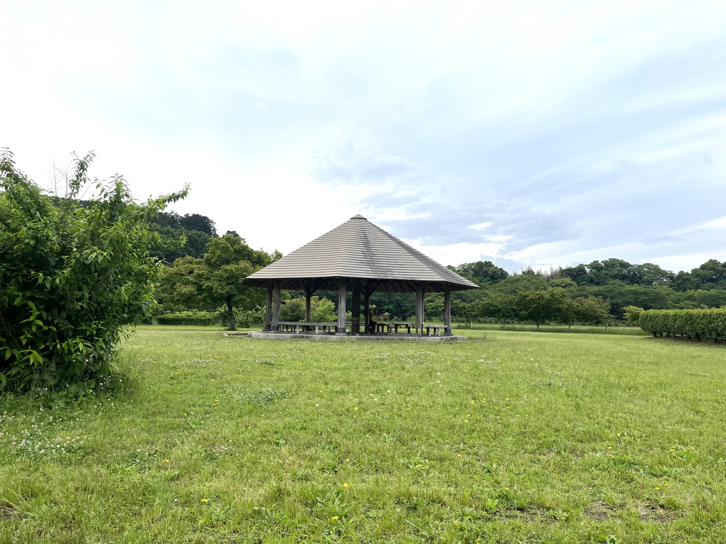 3/14(土)池袋休日自然がっこう